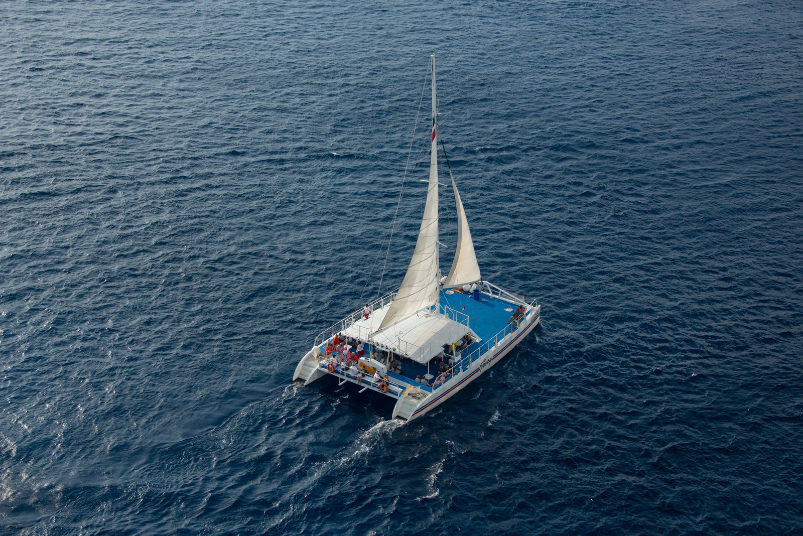 A catamaran under sail with passengers aboard, seen from the air