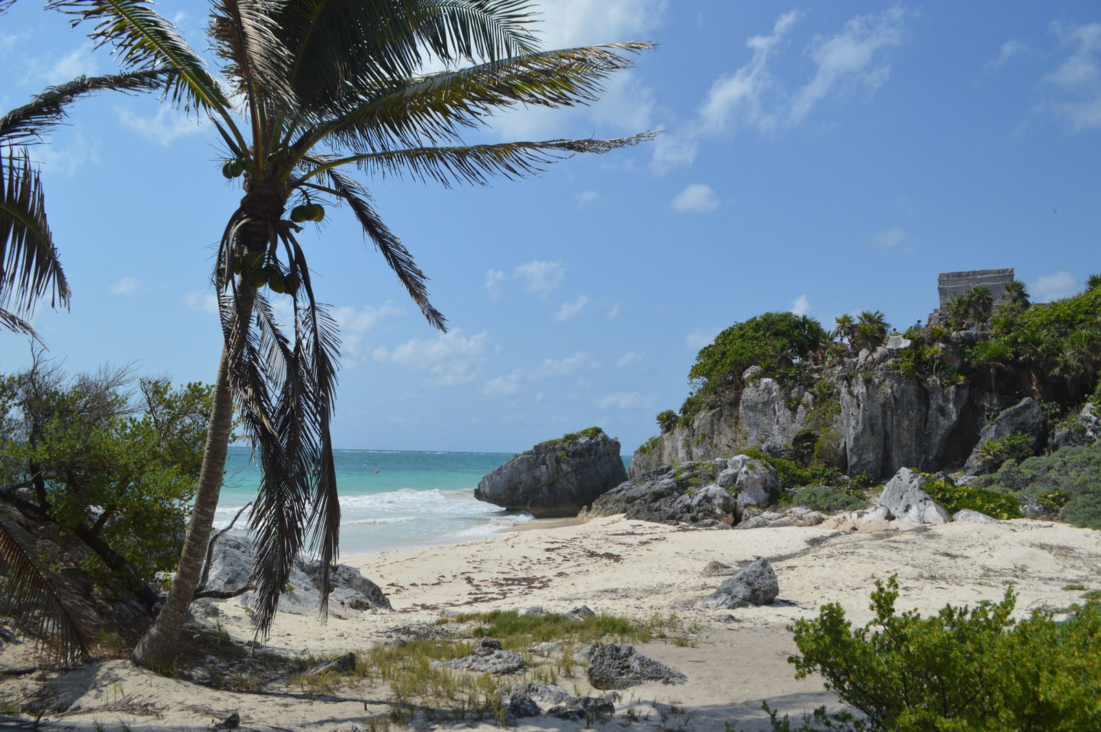Palms and boulders on a clear Caribbean shoreline