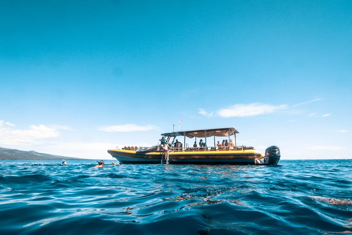 Family snorkeling off a swim platform