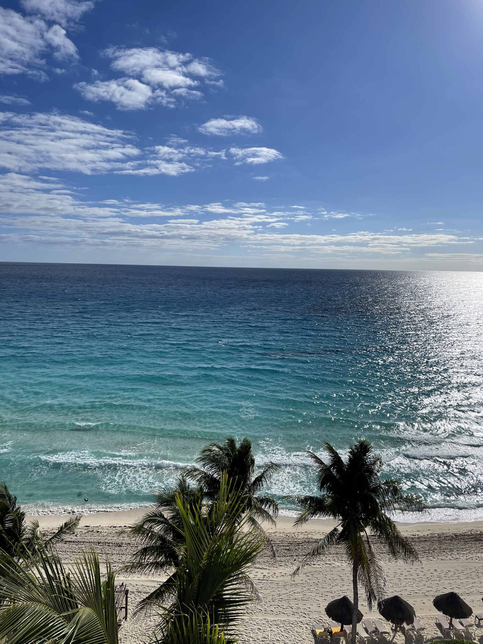 Turquoise water, sand and palm trees on the Cancun coastline